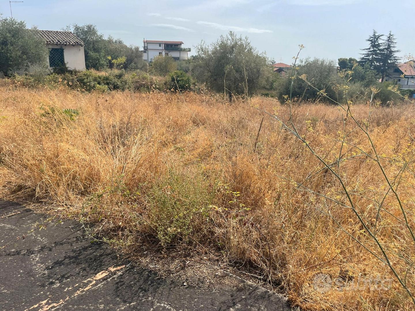Terreno con progetto - Vista 3
