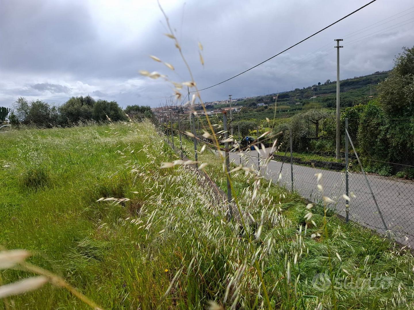 Terreno agricolo - Altro