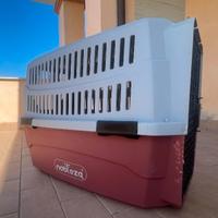 box cani 