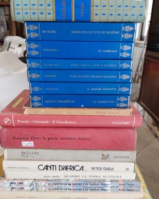 16 libri di poesia e letteratura