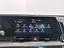 Immagine 16