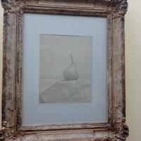 Francesco Saltara Disegno a Matita 