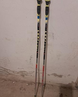 Bastoni GS bambino junior 110 cm 