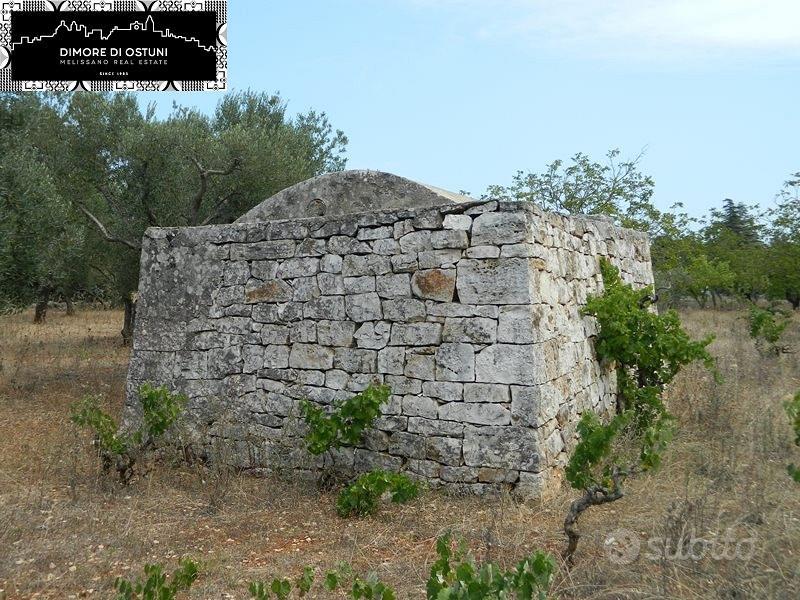 LAMIA in VALLE D'ITRIA CON TERRENO 4000mq - Altro