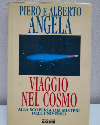viaggio nel cosmo 
