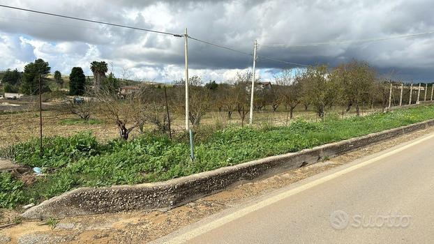 Terreno in contrada albana