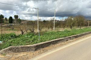 Terreno in contrada albana