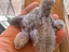 Immagine 1