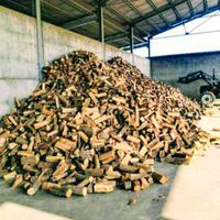 legna da ardere 🔥