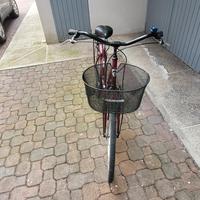 Bicicletta da donna