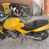 Honda  Hornet 600