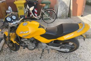 Honda  Hornet 600