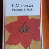 PASSAGGIO IN INDIA