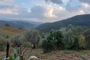 Casolare nel Cilento con 10000m2 di terreno