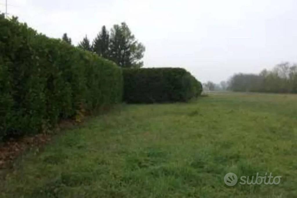 Immobile in asta di 7222 m² a Rivanazzano Terme - Vista 4