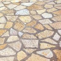 SCORZA TRANI Irregolare sp. 1-2 cm