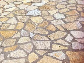 SCORZA TRANI Irregolare sp. 1-2 cm