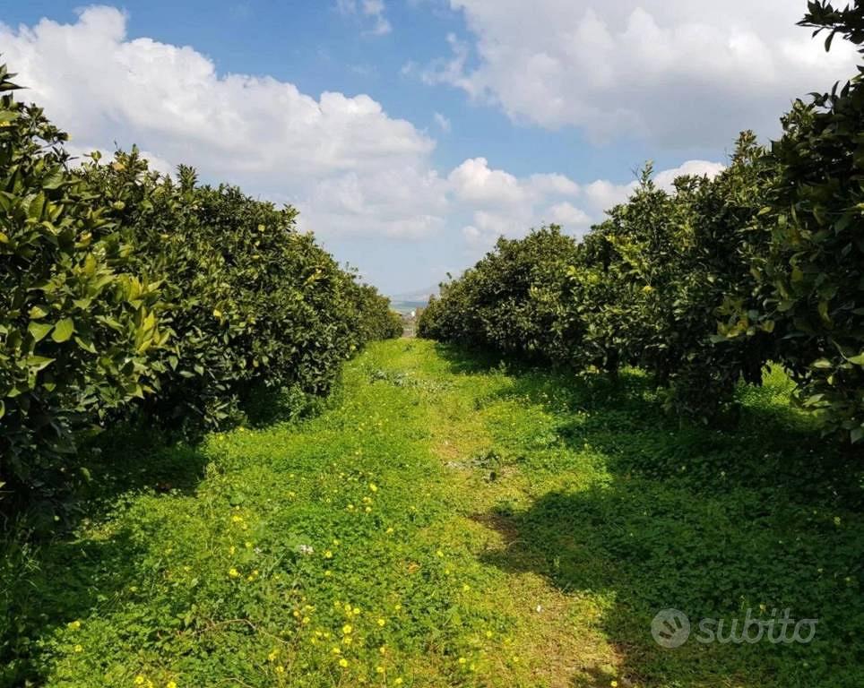 Immobile in asta di 8160 m² a Ramacca - Vista 5