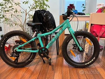 Mountain bike Scott Roxter 20