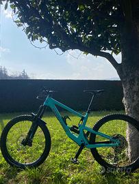 Santa Cruz Bronson C