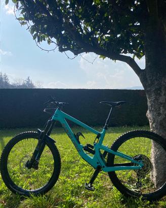 Santa Cruz Bronson C