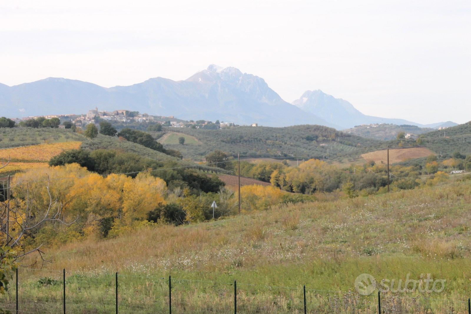 Casa – Loreto Aprutino, Remartello - Altro