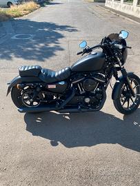 Harley iron XL 883