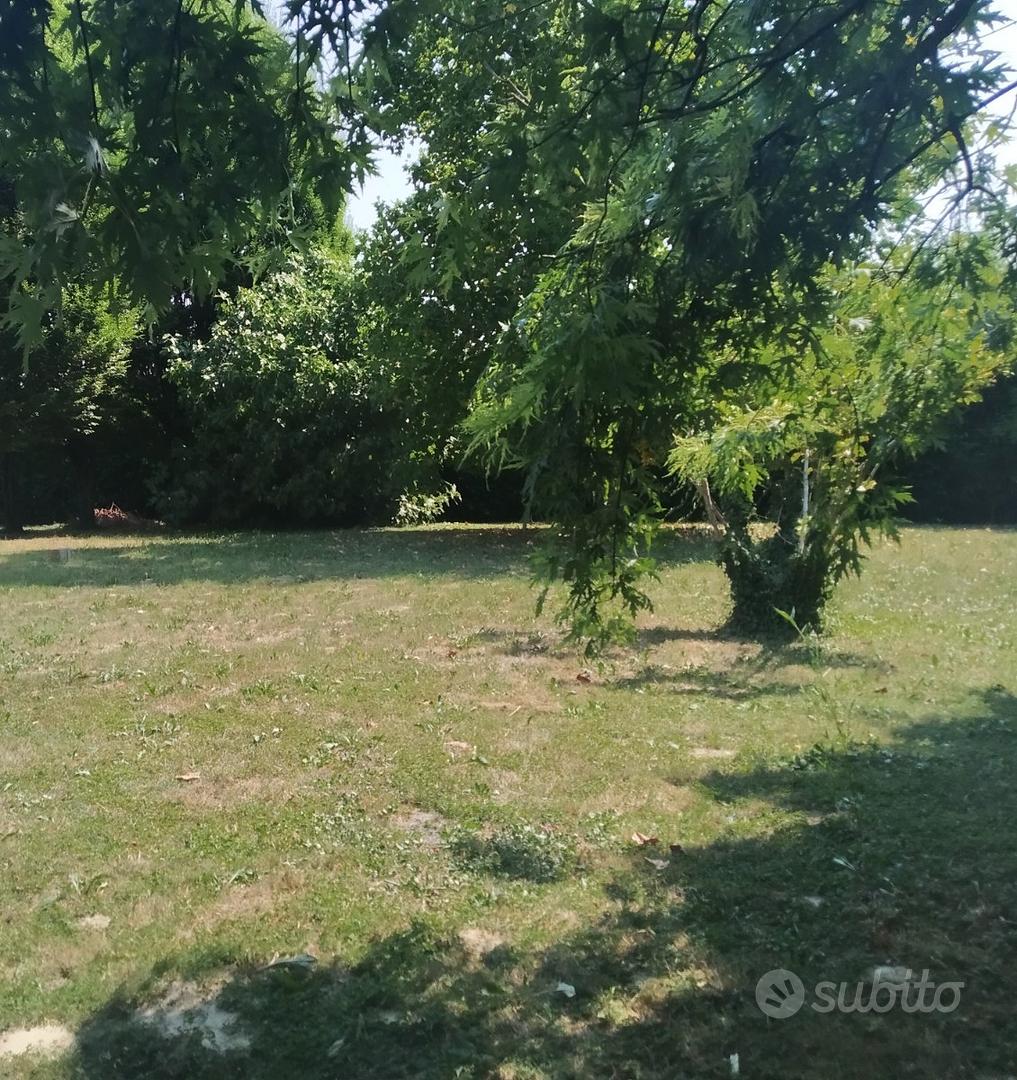 Casa – Massanzago, Case Olivi - Vista 5