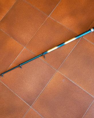 canne da pesca