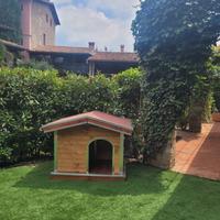 Cuccia Cane