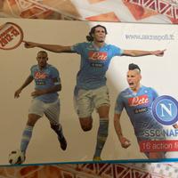 statuine del del napoli stagiione 2012/2013