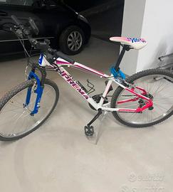 Bicicletta