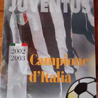 juve 2002-2003