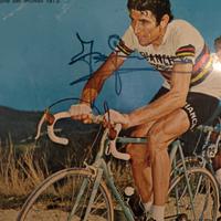 Ciclismo Autografo Originale Felice Gimondi