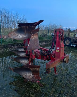 Aratro voltino vogel noot