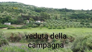 Campagna Zona San Leonardo (lago cuga)