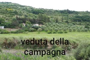 Campagna Zona San Leonardo (lago cuga)