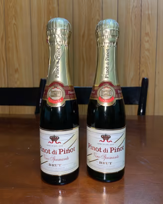 2 Bottiglie Spumante Vintage Pinot di Pinot Gancia