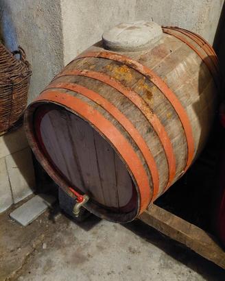 Botte da vino in legno 200 lt