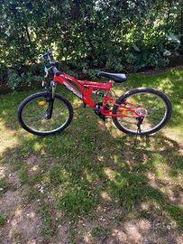 mtb biammortizzata