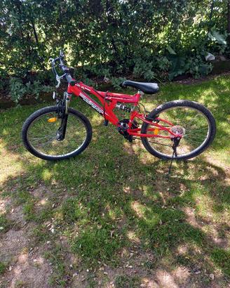 mtb biammortizzata