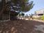 Immagine 24