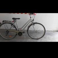 Bicicletta da donna