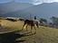 Immagine 11