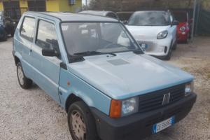 Fiat Panda 1100 i.e. cat College