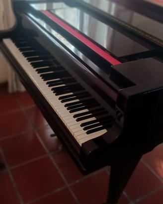 Pianoforte quarto di coda