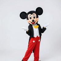 Costume Mascotte Topolino