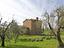 Immagine 14