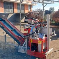 SEGA COMBINATA COLLINO