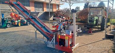 SEGA COMBINATA COLLINO